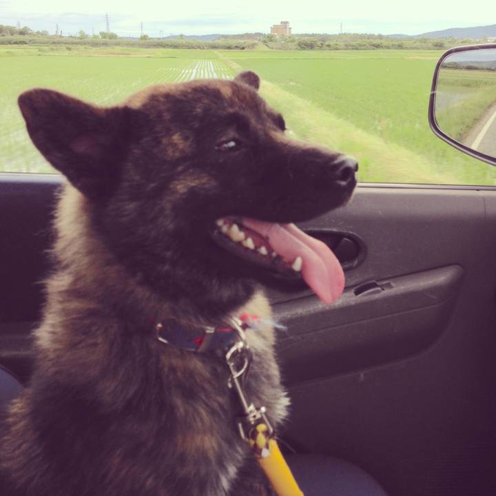 B7673a8a f511 4bd4 89ac 9d3cbf119fe6