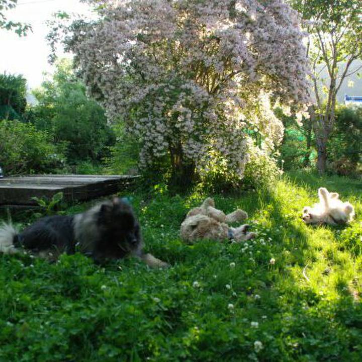 B767c2c5 6e91 4574 90cd d0eea574cd04