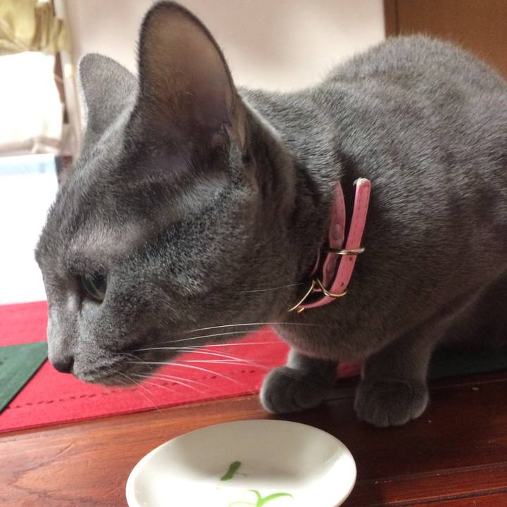 B7687361 f032 418f 98cc 7666ee1101dc