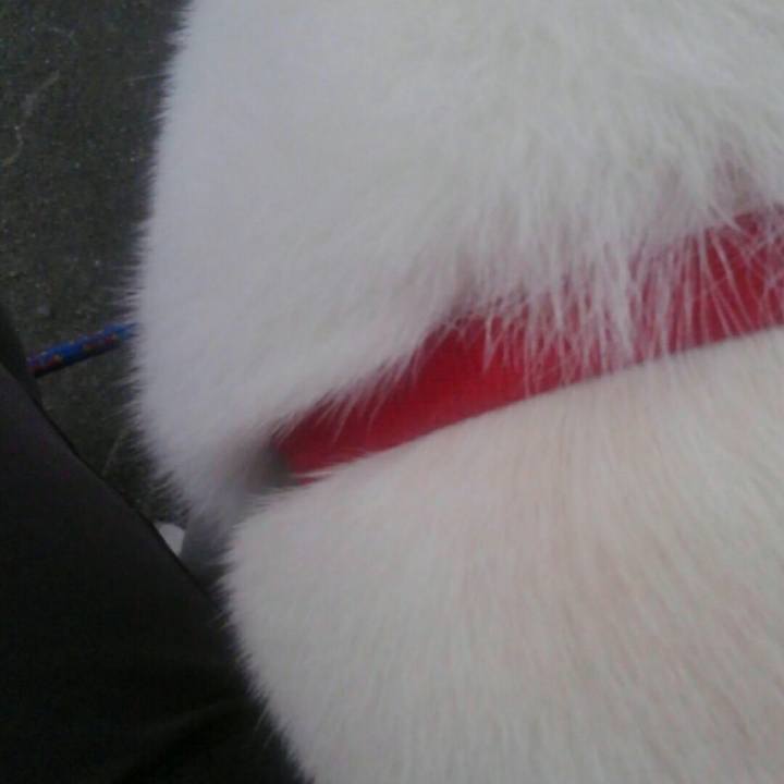 B768e295 4fe5 491e b7c0 99a28aedb171