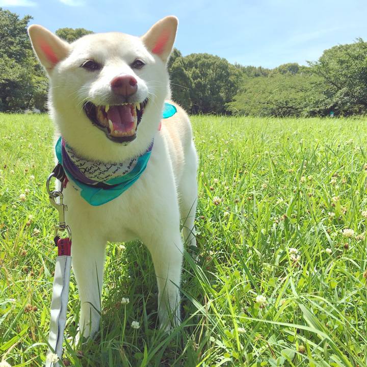 B7695772 c7ac 45f9 9f7b ee9adcb0f02c