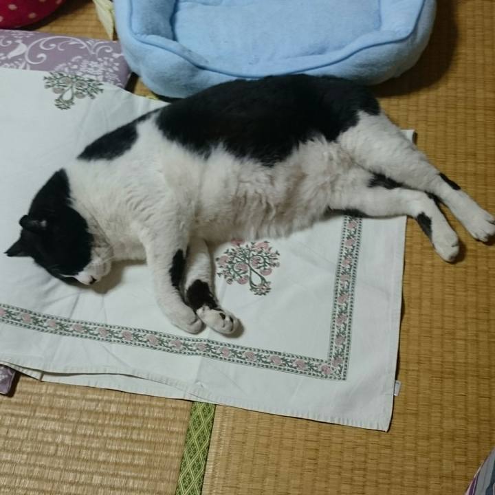 B76a111c aa0f 458e bd97 f9ebea002fa8