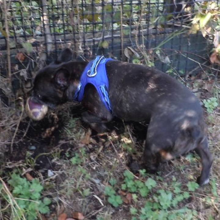 B76a868d 9cb5 42d9 b388 e8f51baad6a3