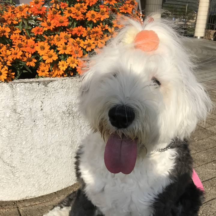 B76b1d7d 9f14 4cad 85a7 f2f010d90bcb