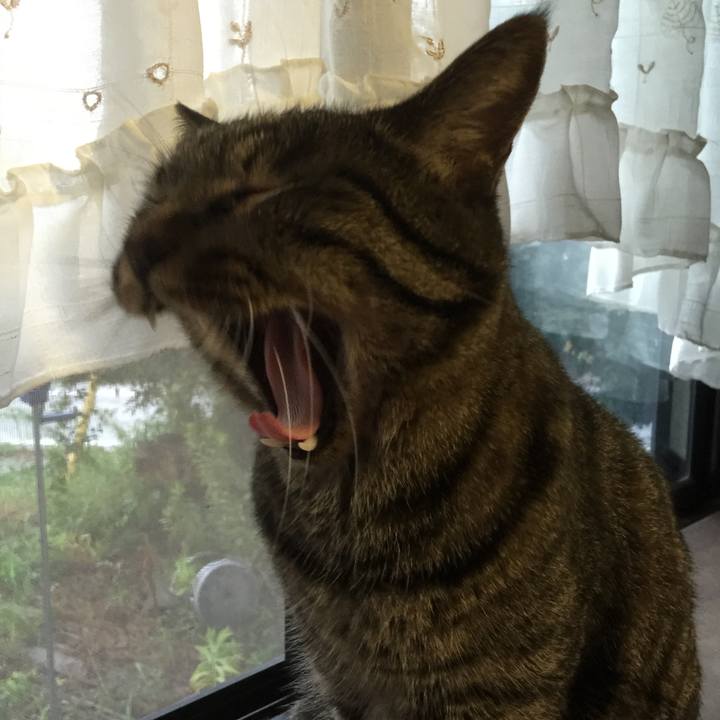 B76b332c 9962 47a8 92e8 901cd5fd22bf