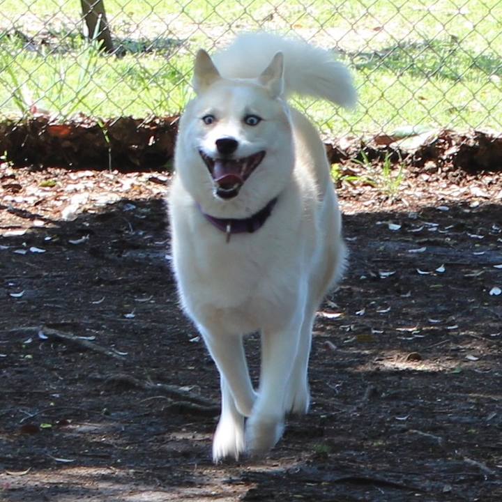 B76b6fa7 5ccb 4399 8bdc bc15649b6ed6