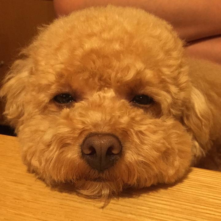 B76cad27 e22a 4071 a029 a470368c9993