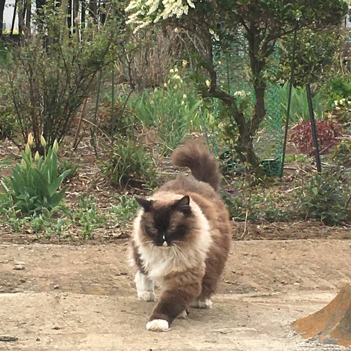 B76cf405 439e 44bb 88c8 b3d11a38412f