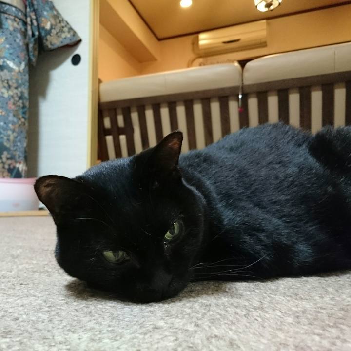 B76cf962 5583 42cd 842c 0289bbea52bf