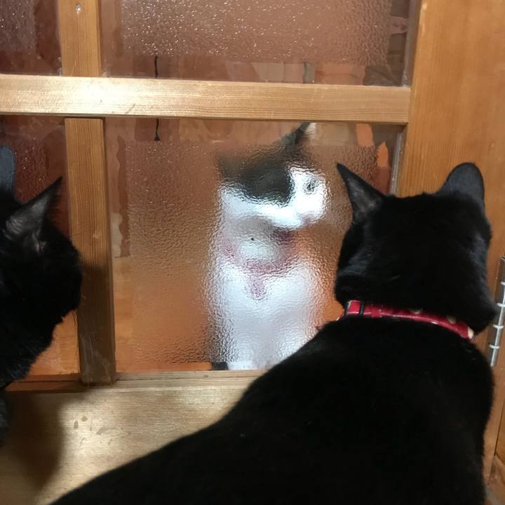 B76d4da2 a65a 4947 958e 5dabeb9cce7a