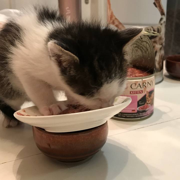 B76de306 c65d 4e6d a716 6d89d28fdf78