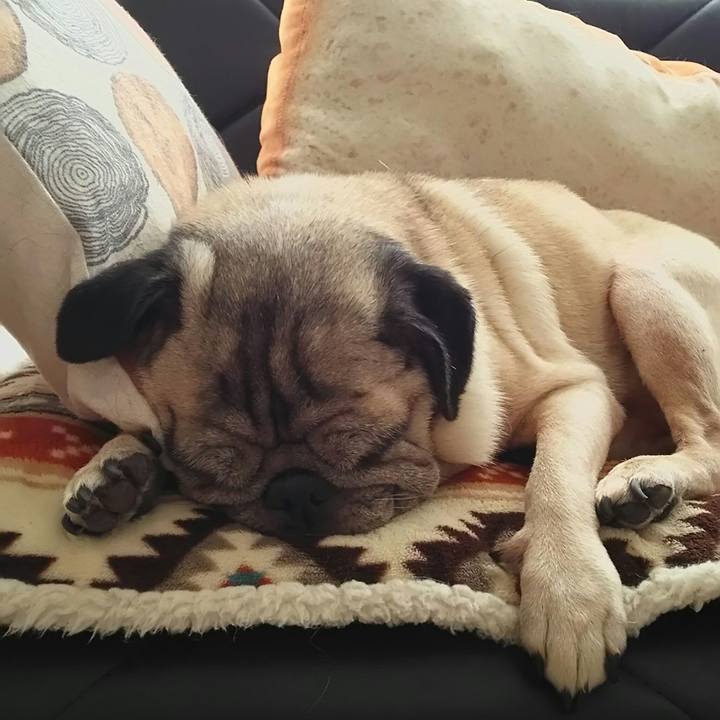 B76e899d 4848 4ee4 b6c3 c4c29440cbbf