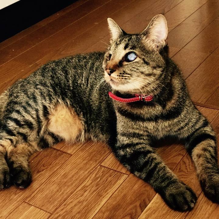 B76ed605 5aea 4cd6 b1f1 60e927550928