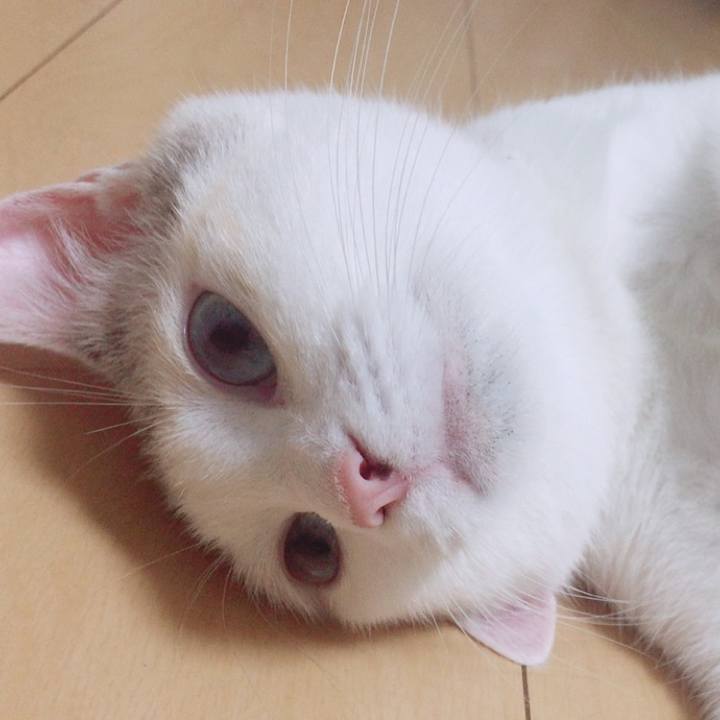 B76ee053 cabf 4595 9d5b d577153c4067