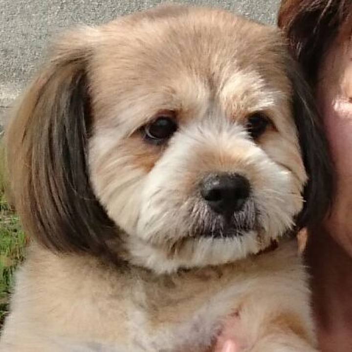 B76f11e4 e9b0 4864 9216 6fd9b52903ce