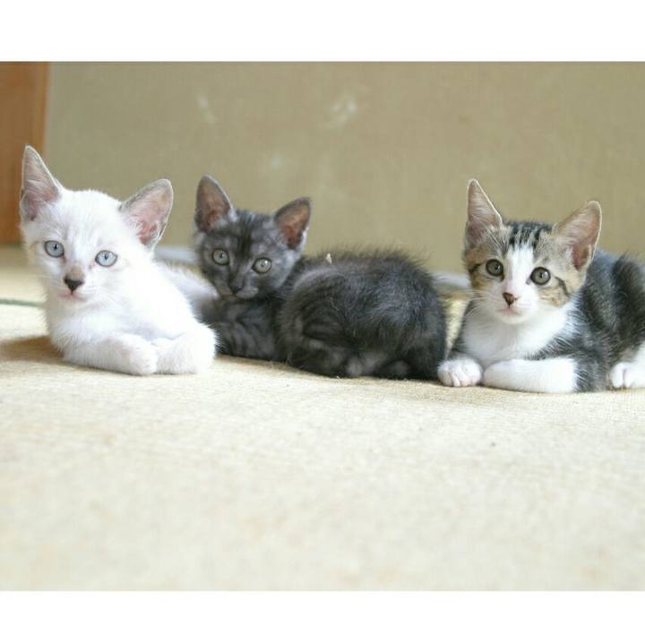 B76f6c55 b87a 4718 940f b2dd3aabb7df