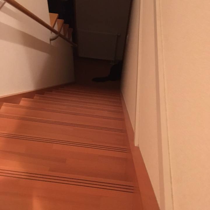 B76f94f0 16e7 41ea a8f0 eac385543b6d