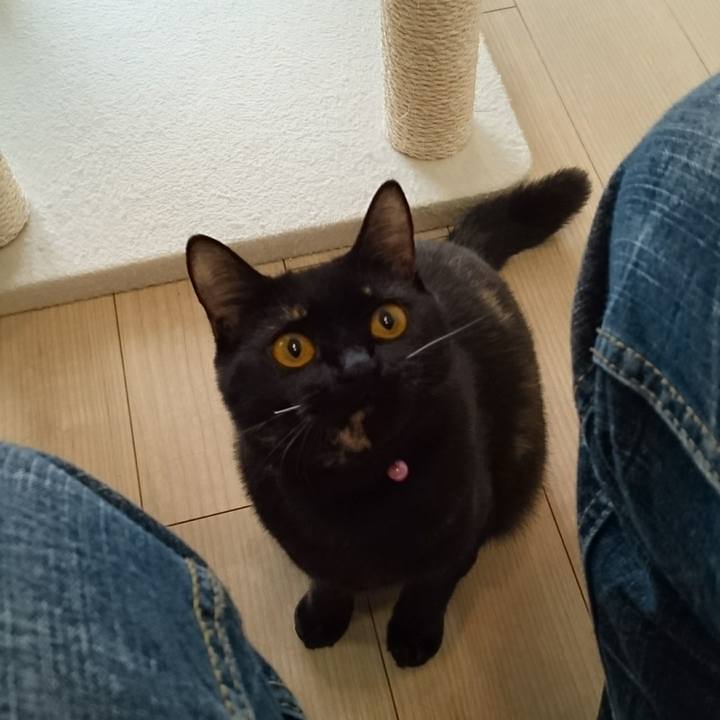 B77050bc 8657 4fca be93 596e1552100d