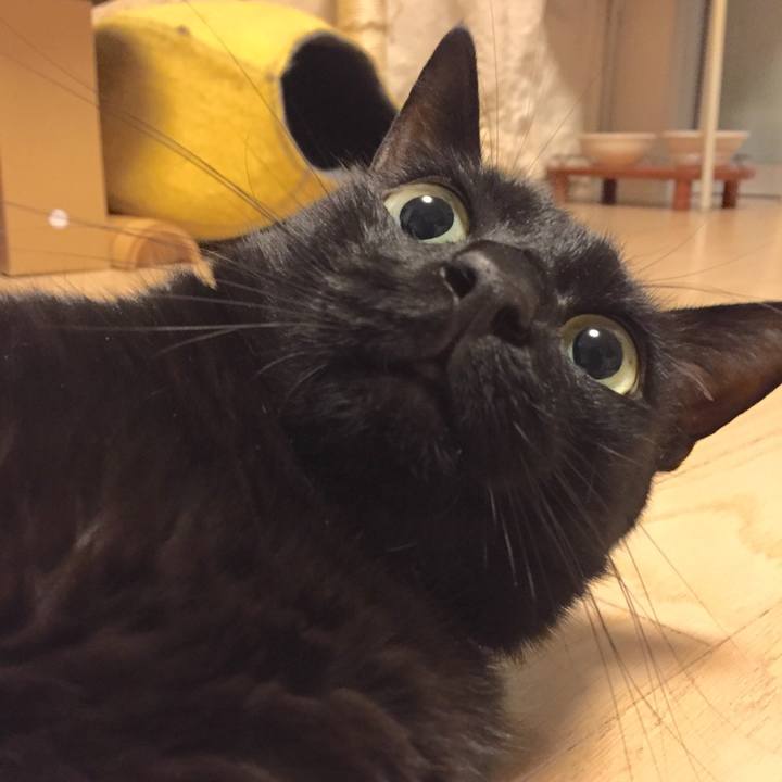 B770cbe6 a5ff 4465 8f7d 4442ed68a53c