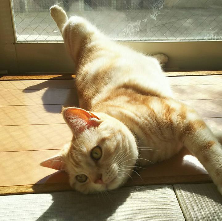 B7714bd5 3f8d 4463 9e08 9bb7e4fba1d0