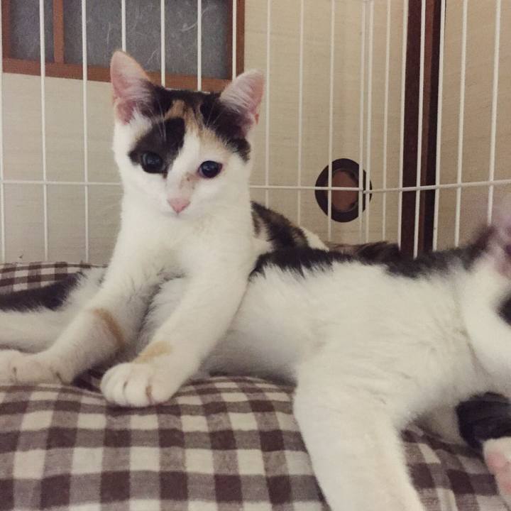 B7720928 5dbc 4b4d a85a a79f7bf894e0