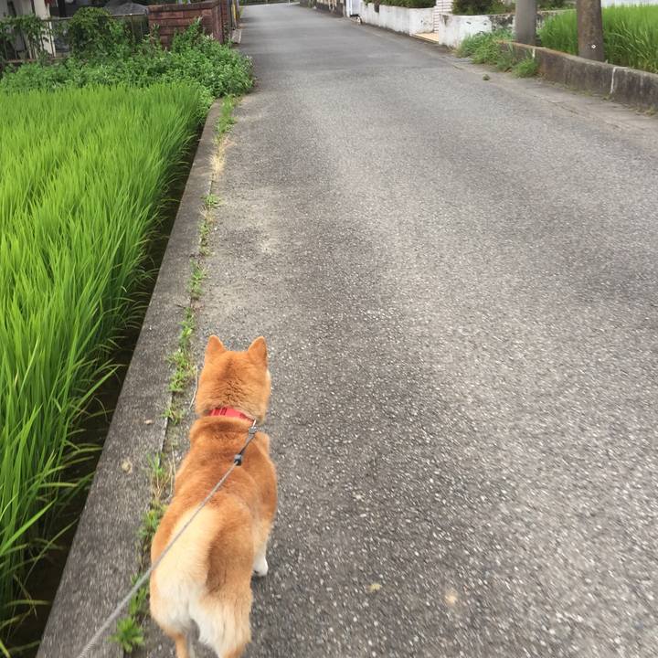 B77229f6 1a8e 4b99 95b7 36724fb4db65