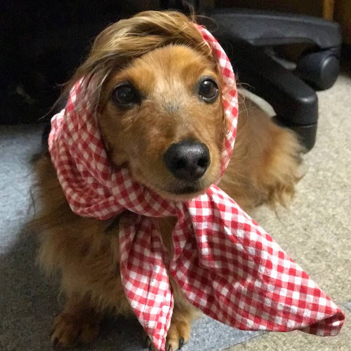 B7727323 1fc1 4ceb bf89 862a08377c8c