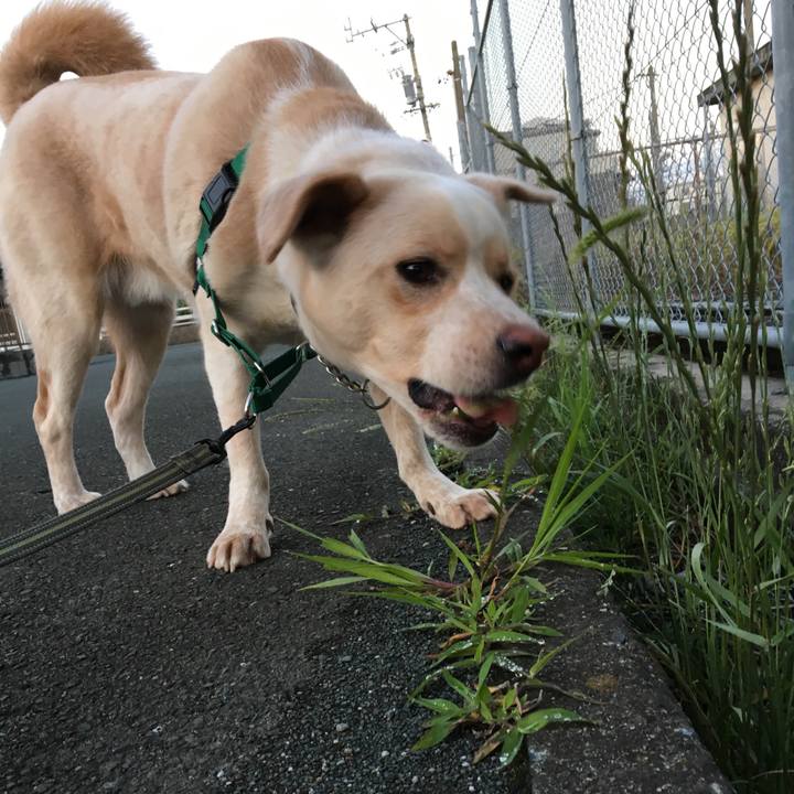 B772a13b 8a82 4e61 afdf bd8147120a67