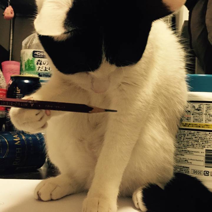 B772e99d d1be 4d67 adbd 6e348125bfa5