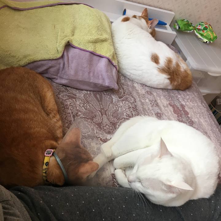 B773988a 9819 4786 ae43 141875d37076