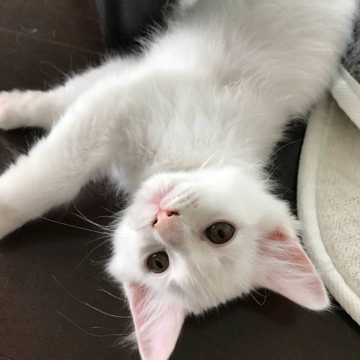 B77398fc c34c 431f a1eb e47a9a504f57