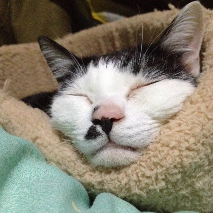 B773f305 6cd4 4037 9ed7 1e35e313e951