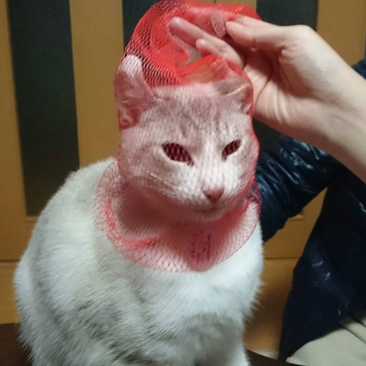 B7745f65 5f56 40c3 8df2 2b2465371fee