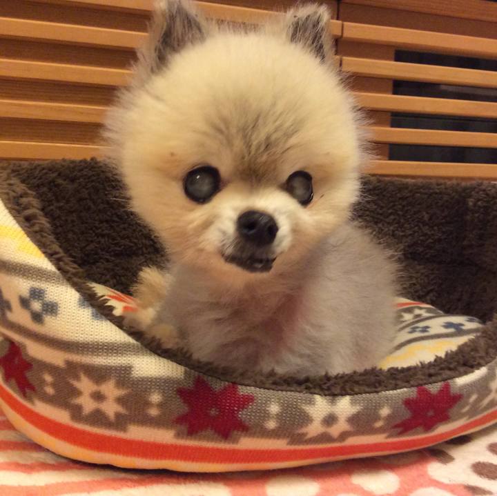 B774ef03 618f 4a88 be59 cf0d4eb1769d