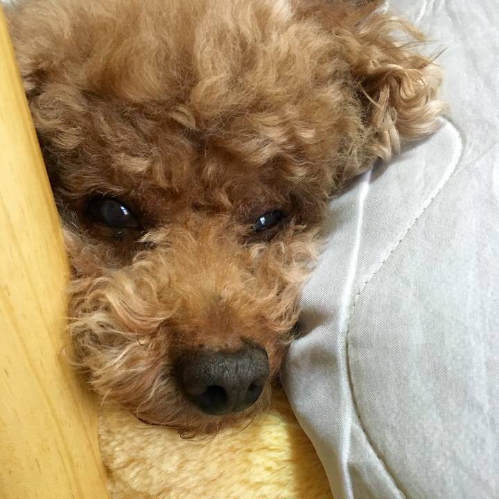 B7751b2f a122 4841 a0a4 fe70c7b1396b