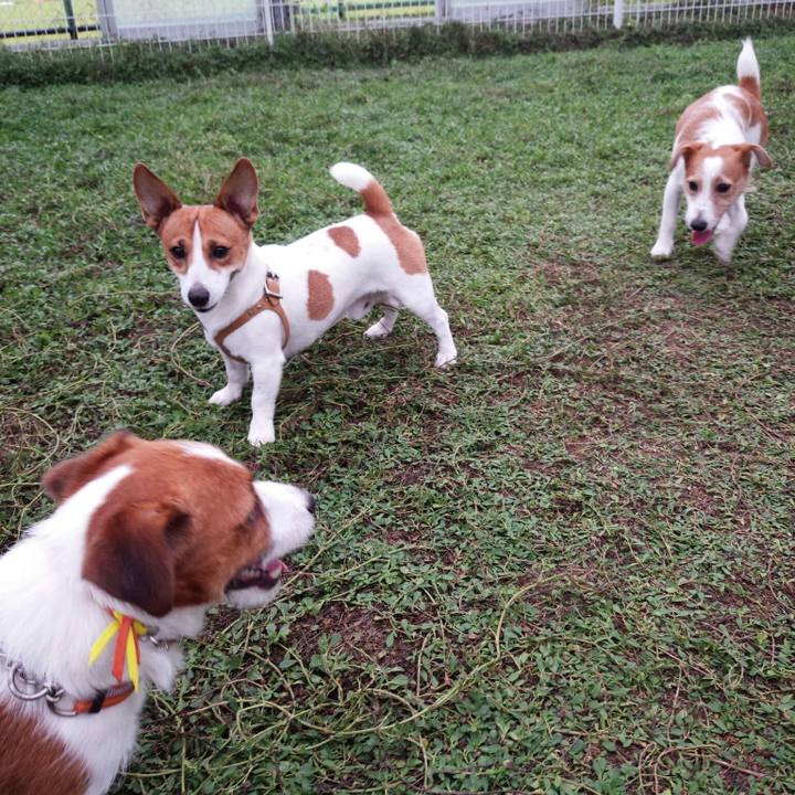 B775dc7d 32ea 4e0f bf27 ede7caefd8a3