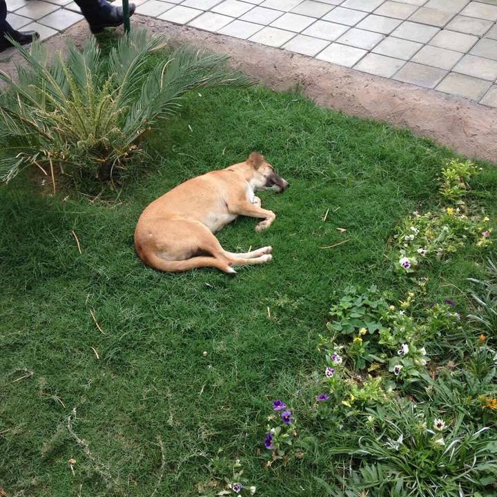 B77644c1 562c 4efb b1a5 0b7902c5c8e2