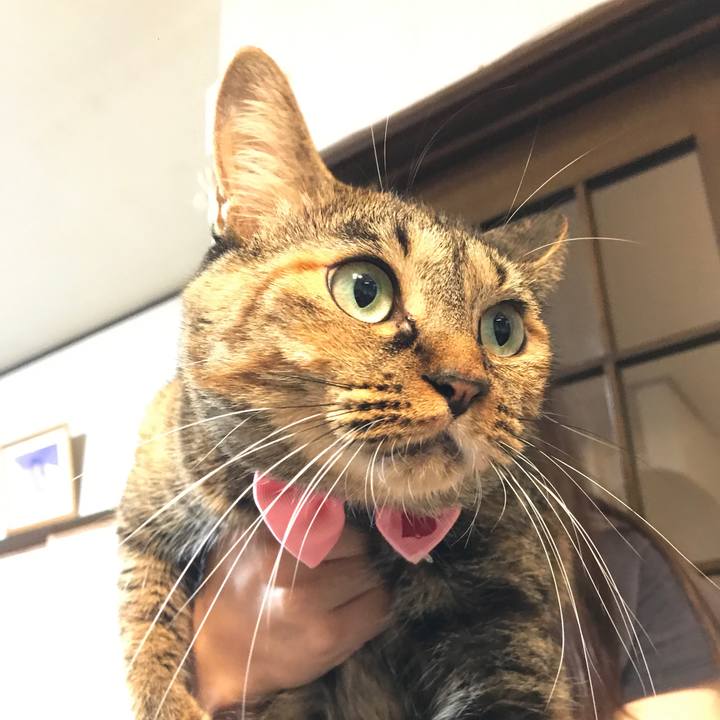 B7776232 b8f2 495d 9e95 1a1f022428f8