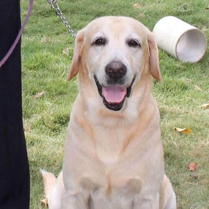 B7779f4b 18b2 434d 896e 2a2aece3fbbf