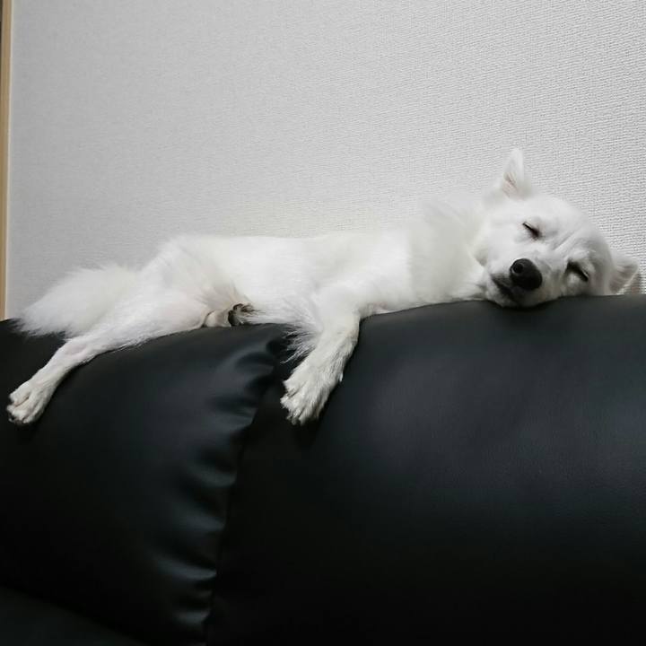 B777ba40 3fa8 45fa 9504 03350d91cb78