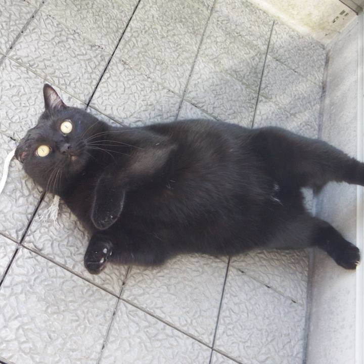 B7780ecc 99b7 4896 ba90 b862f833857c