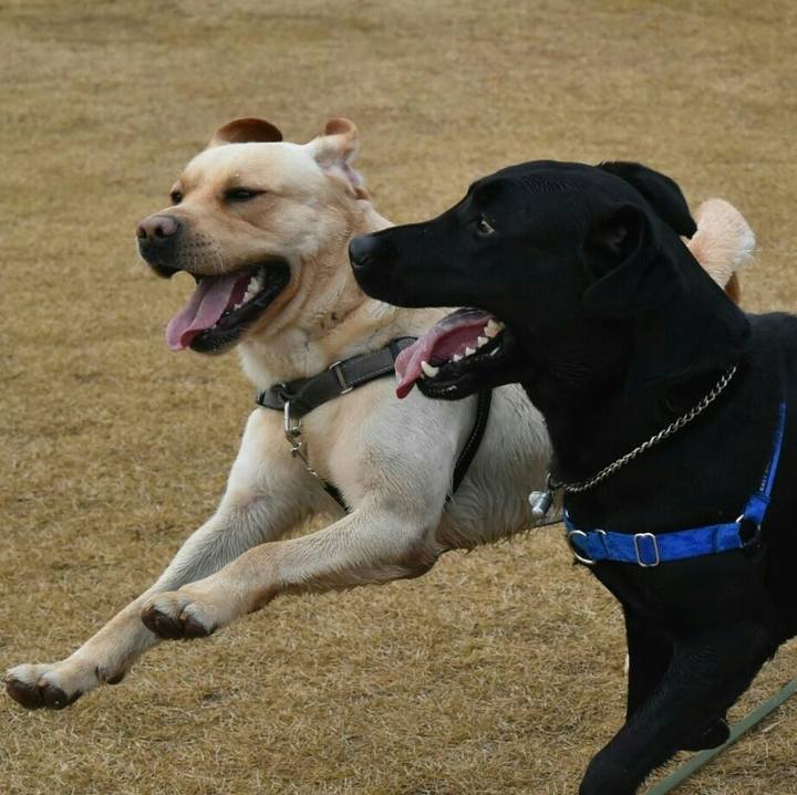 B77882f3 4b6a 4cf6 9c59 2dcd9ee444f1