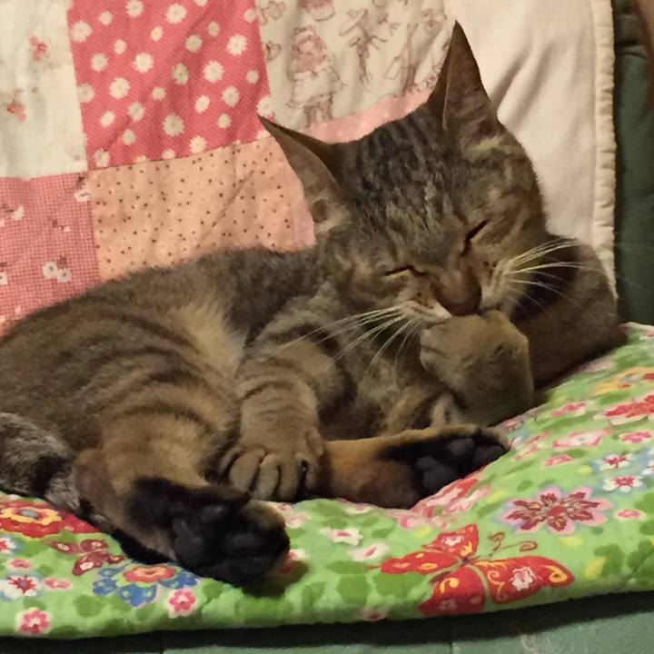 B778b680 ae44 4f5a 9e13 bd3910deb7c5