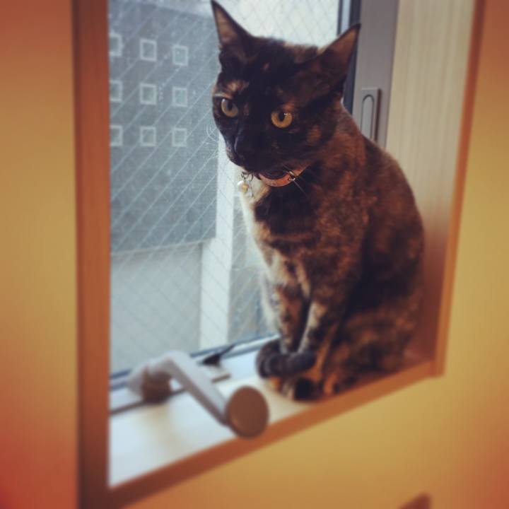 B7791cb5 d795 4648 b176 c4f74fb09f3a