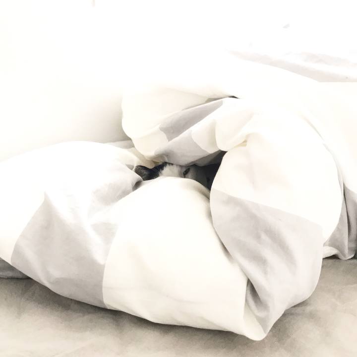 B77957db 6df6 4751 8597 47e840aa960e