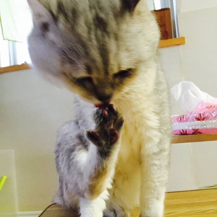 B77aa0e2 b556 4836 b8b2 4f5a18886e9c