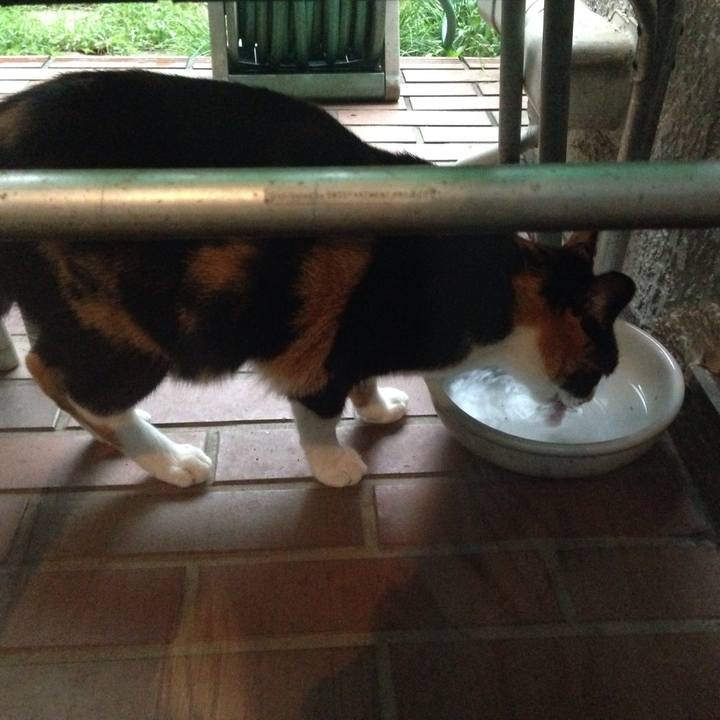 B77aa6a5 b7c4 46e9 945b 8e626c8d1d67