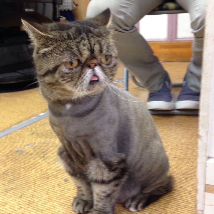 B77aae10 c3aa 4f7a a143 f22652e45512