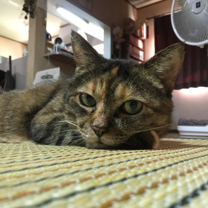 B77b15e7 ca2a 41a9 805b d0cb2fa9111a