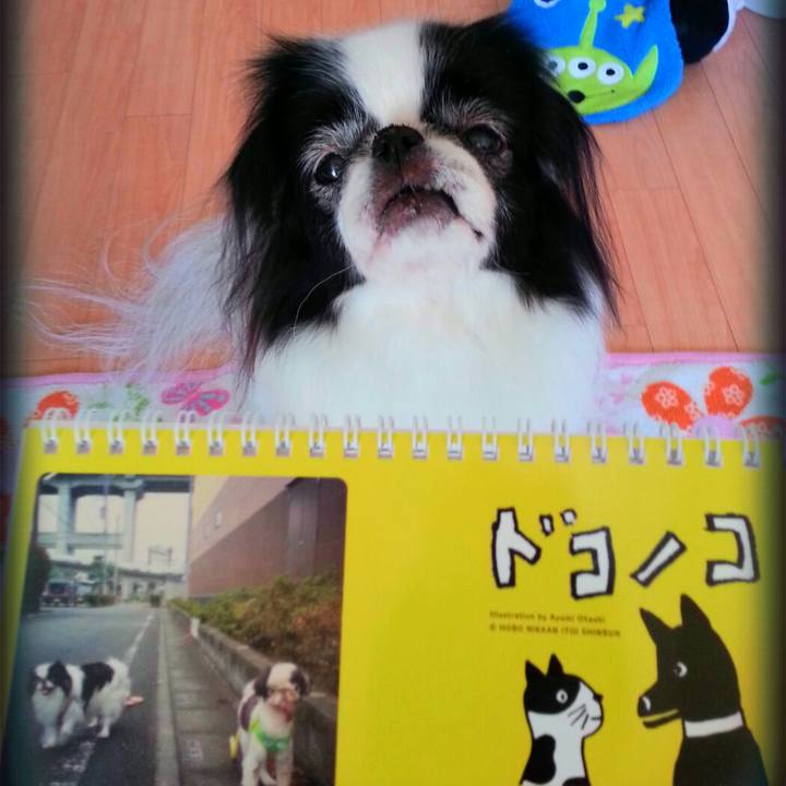 B77b4df6 3ff9 4f6b a2bc 33a82fa252ba